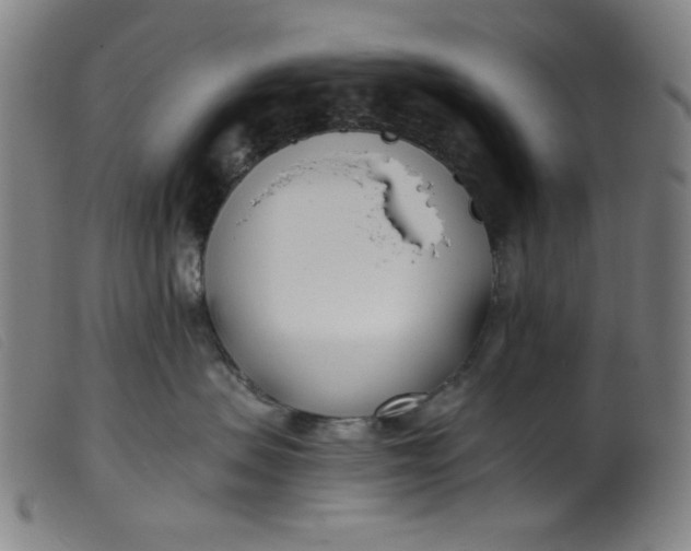 X0000099320479200805161405