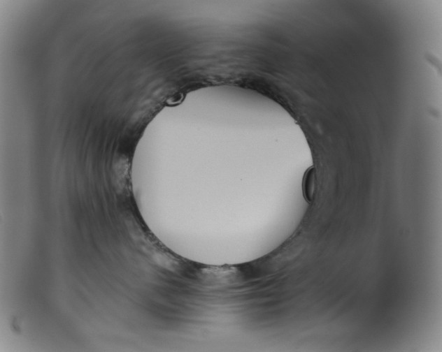 X0000099320480200805161405