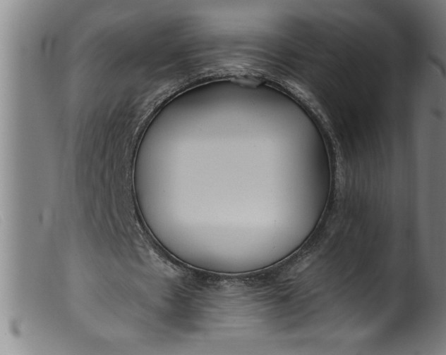 X0000099320481200805161404