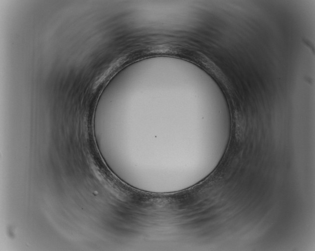 X0000099320482200805161404