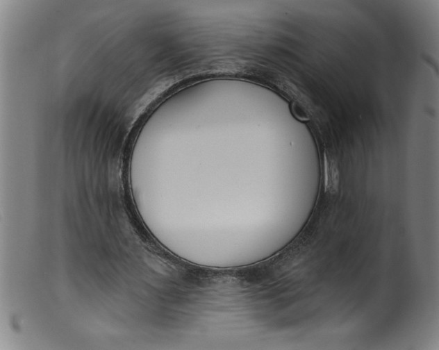 X0000099320483200805161404