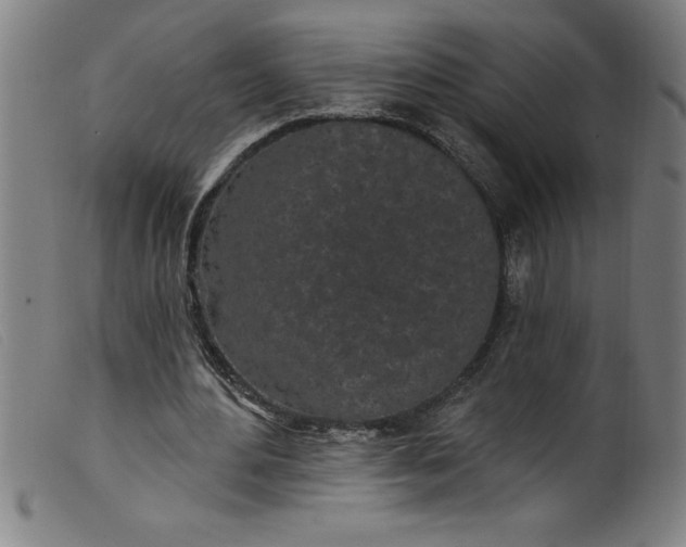 X0000099320484200805161404