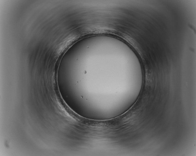 X0000099320485200805161404