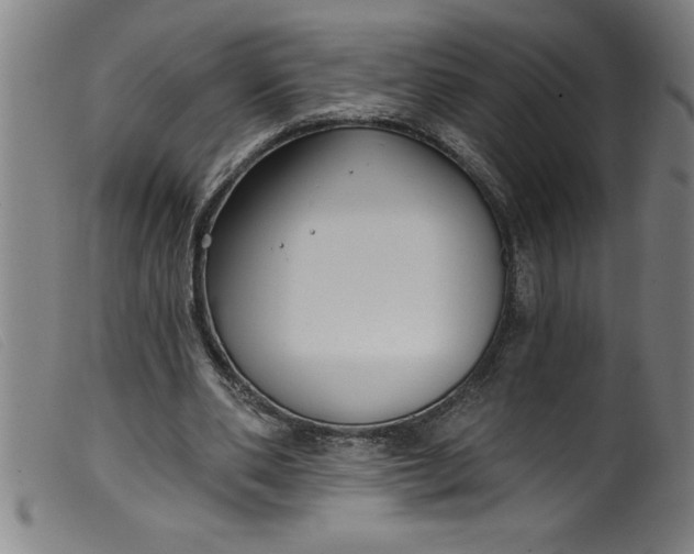 X0000099320486200805161404