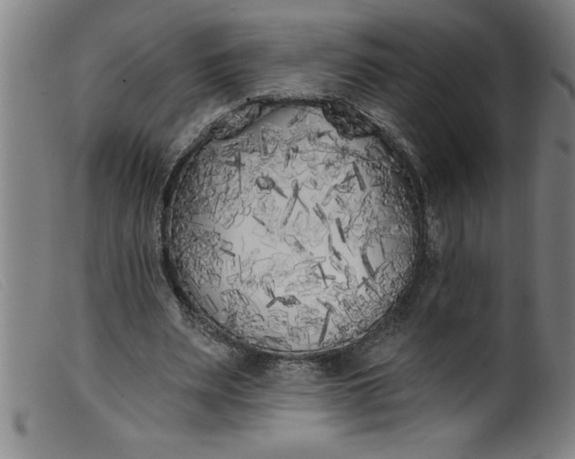 X0000099320487200805161404