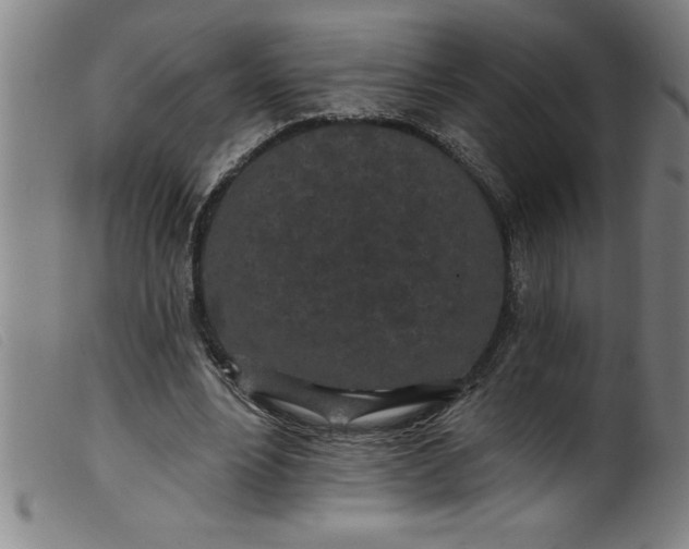 X0000099320488200805161404