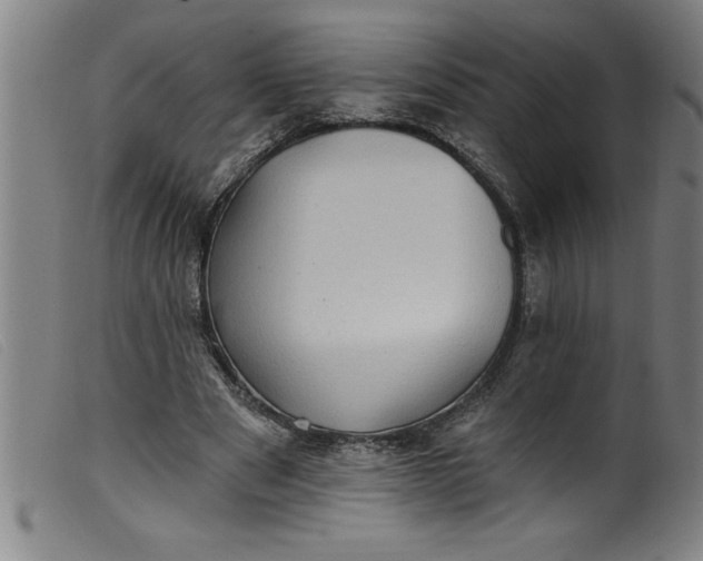 X0000099320489200805161404