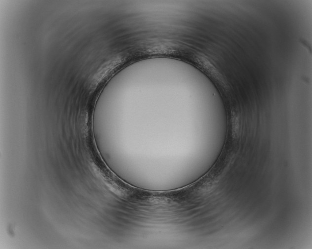 X0000099320490200805161404