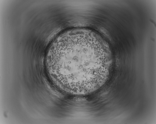 X0000099320491200805161404