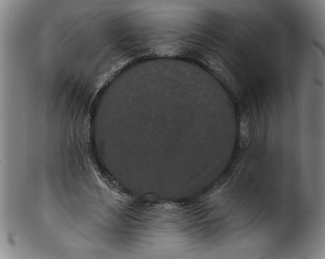 X0000099320492200805161404