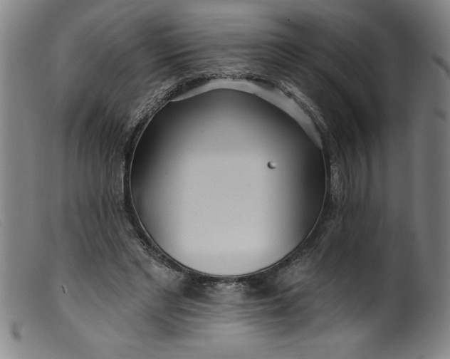 X0000099320493200805161404