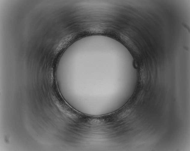 X0000099320494200805161404