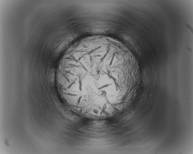 X0000099320495200805161404