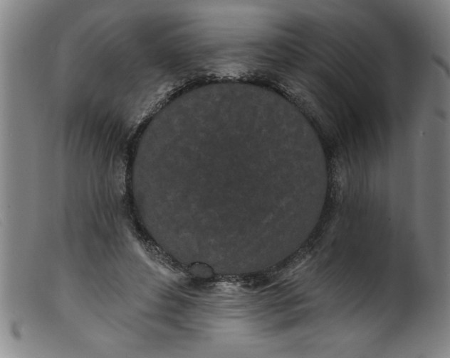 X0000099320496200805161404