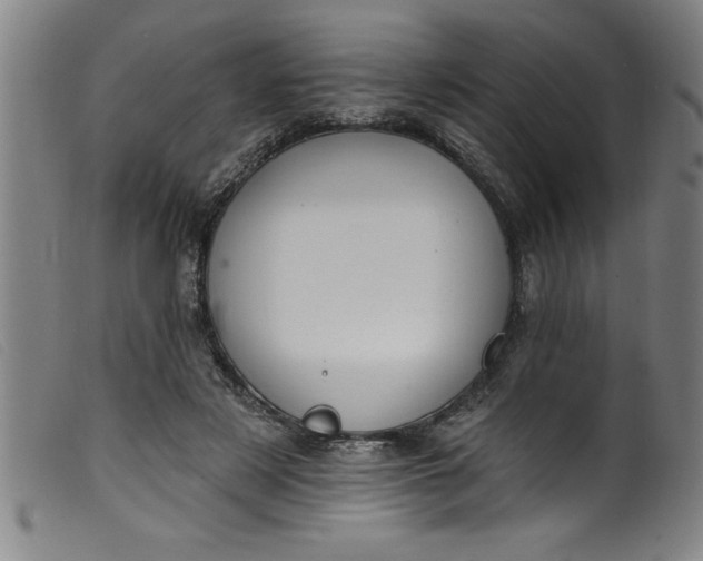 X0000099320497200805161404