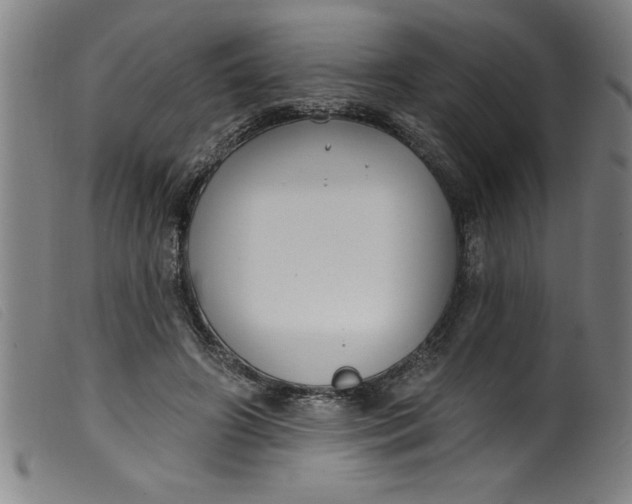 X0000099320498200805161404