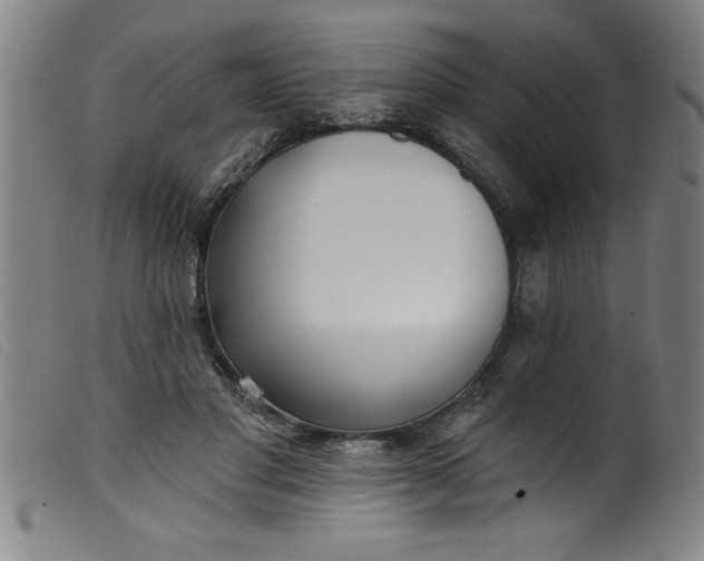 X0000099320501200805161404