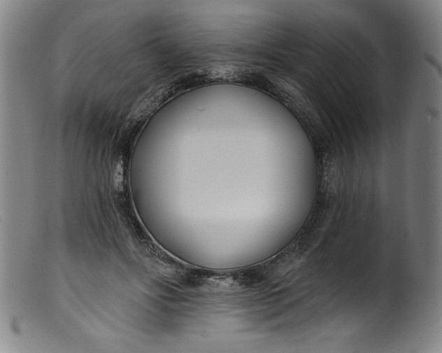 X0000099320502200805161404