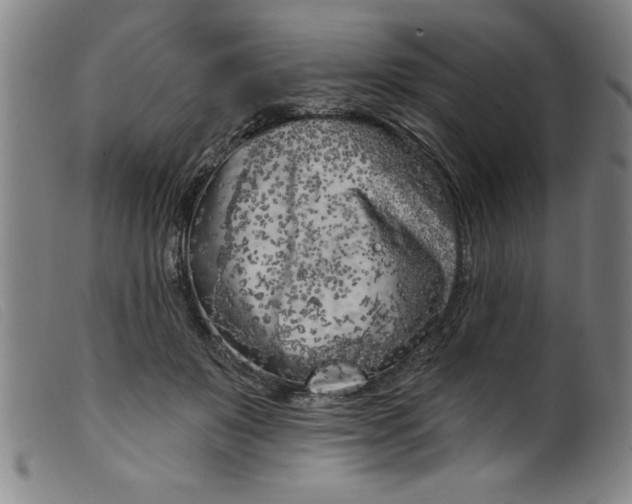 X0000099320503200805161404