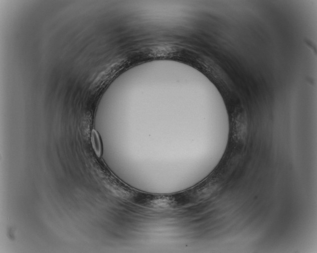 X0000099320505200805161404