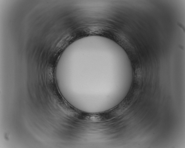 X0000099320506200805161404