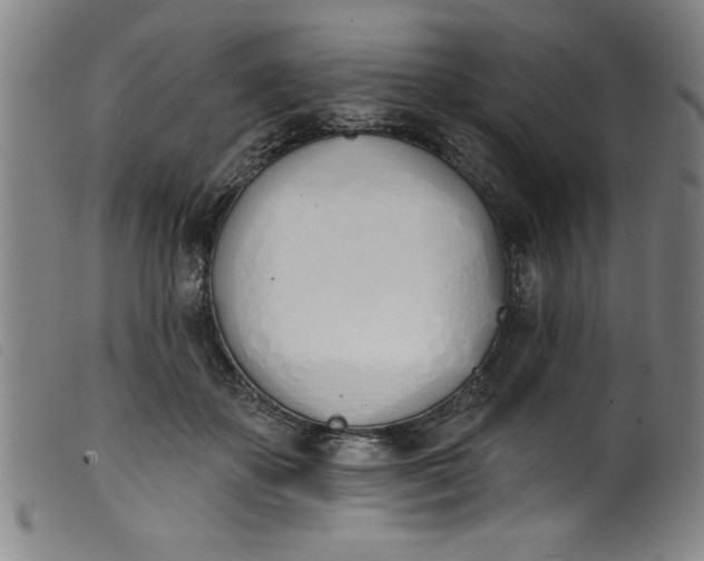 X0000099320507200805161404