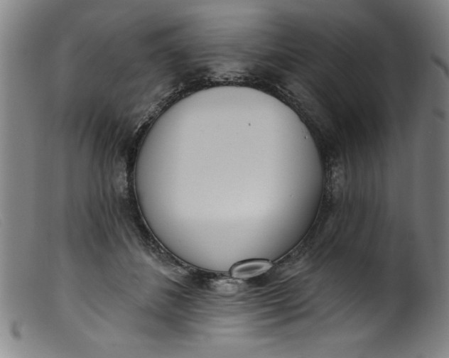 X0000099320508200805161404