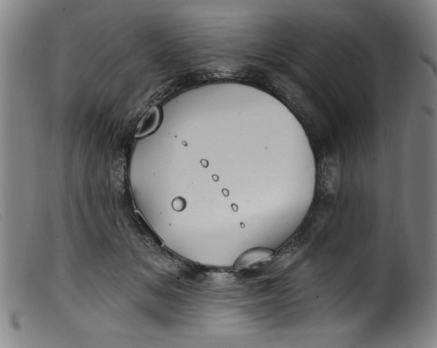 X0000099320509200805161404