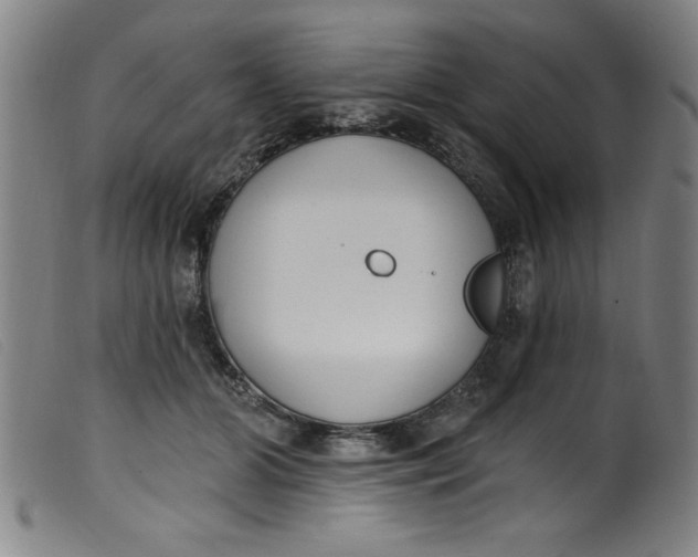 X0000099320510200805161404