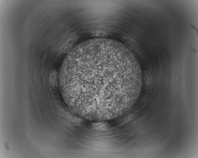 X0000099320511200805161404