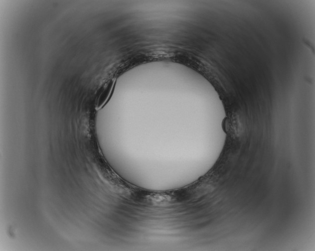 X0000099320512200805161404