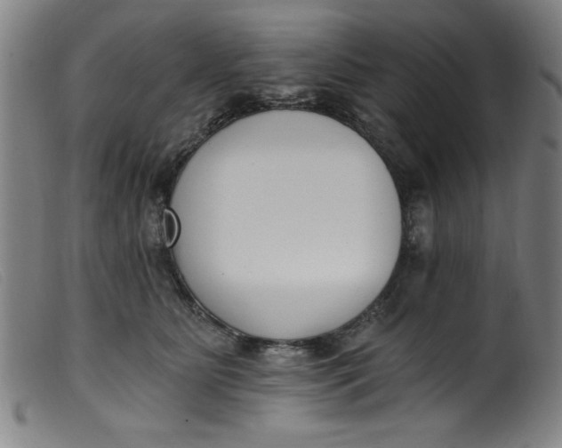 X0000099320515200805161404