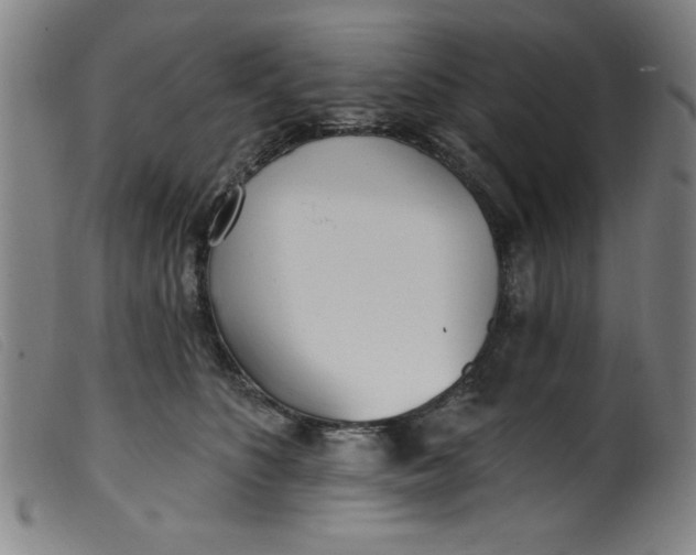 X0000099320516200805161404