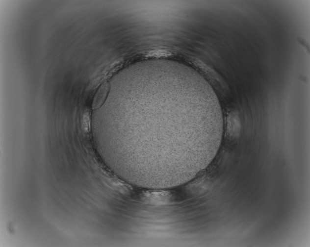 X0000099320517200805161403