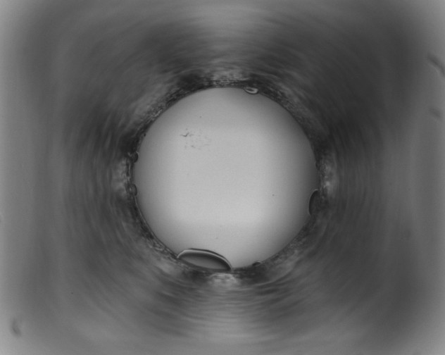 X0000099320519200805161403