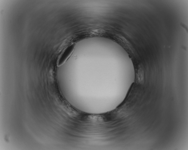 X0000099320520200805161403