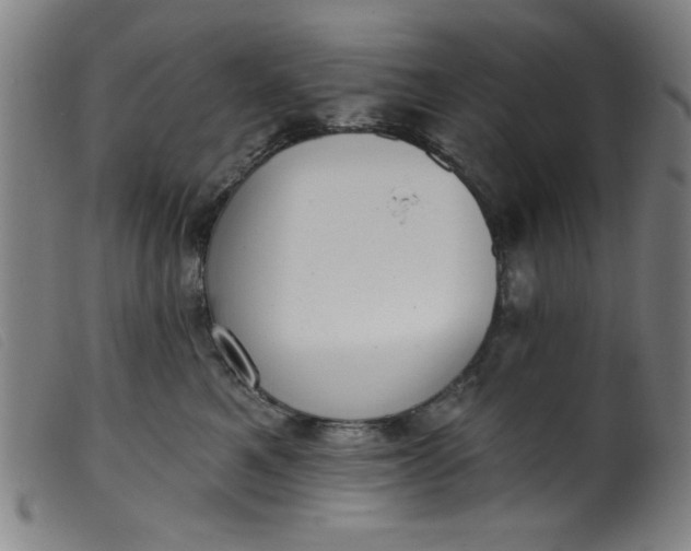 X0000099320521200805161403