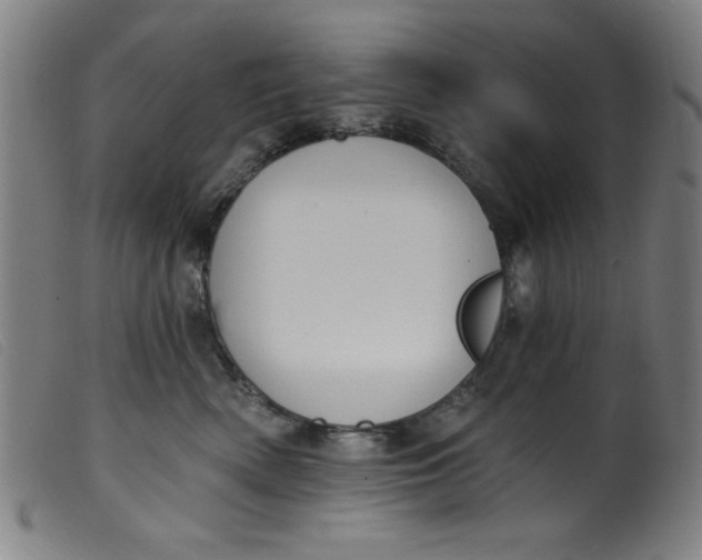 X0000099320522200805161403