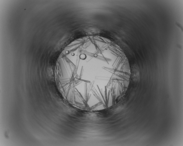 X0000099320523200805161403