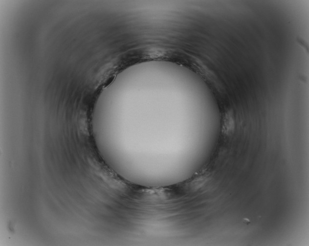 X0000099320524200805161403