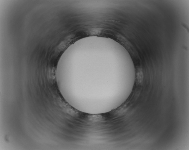 X0000099320525200805161403