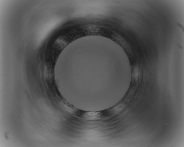 X0000099320526200805161403