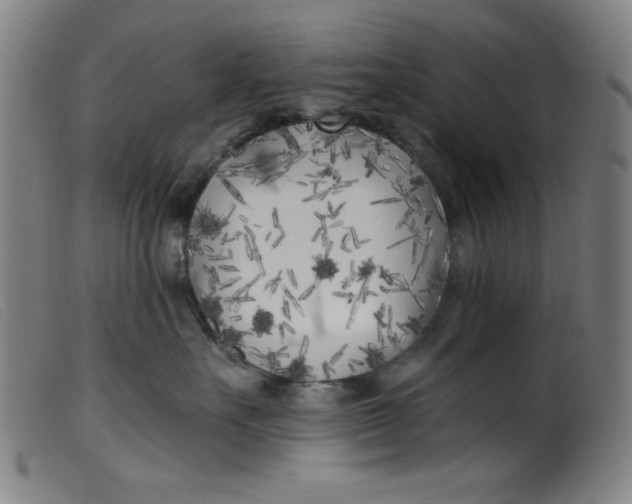 X0000099320527200805161403