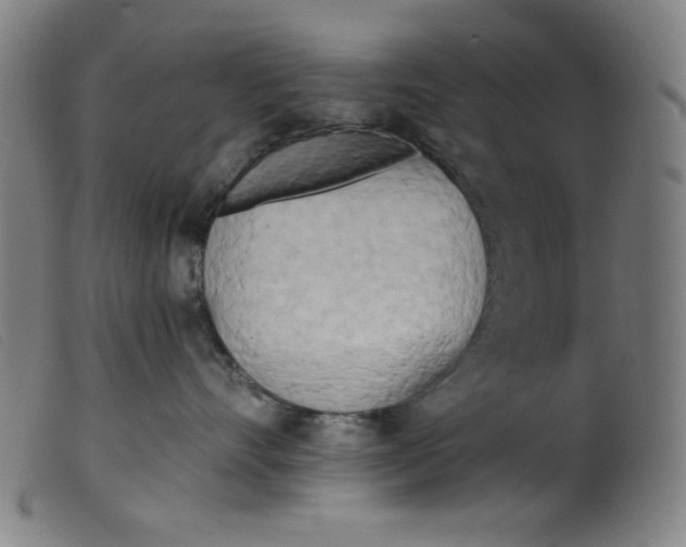 X0000099320528200805161403