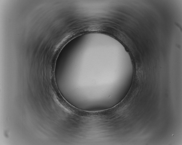 X0000099320530200805161403