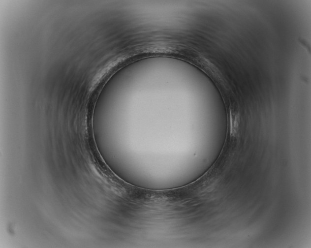 X0000099320531200805161403