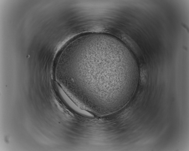 X0000099320532200805161403