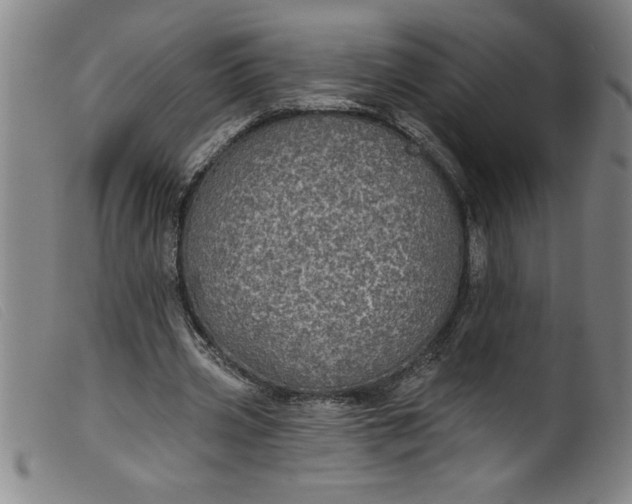 X0000099320533200805161403