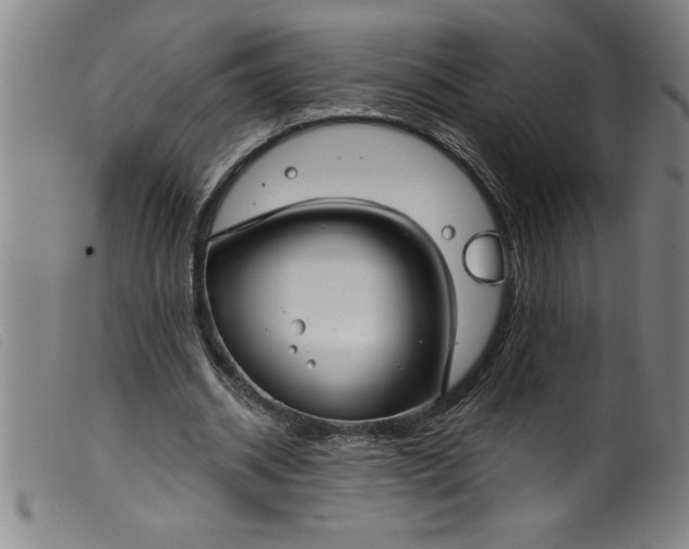 X0000099320534200805161403