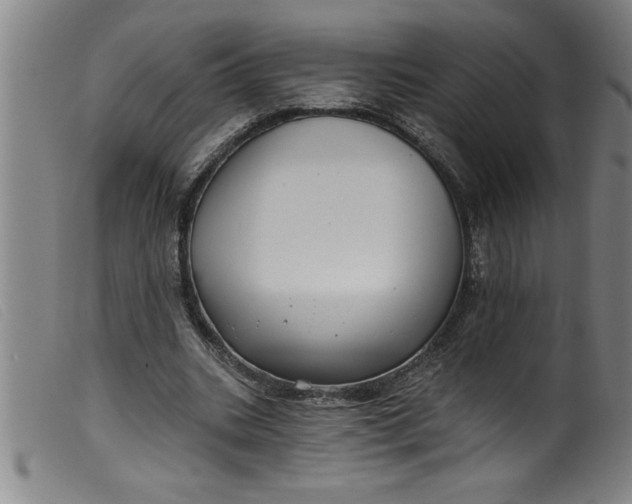 X0000099320535200805161403